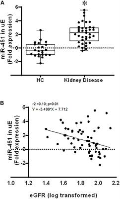 miR-451 Loaded Exosomes Are Released by the Renal Cells in Response to Injury and Associated With Reduced Kidney Function in Human